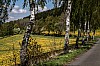 vormwald 2 - (c) l lammers.jpg